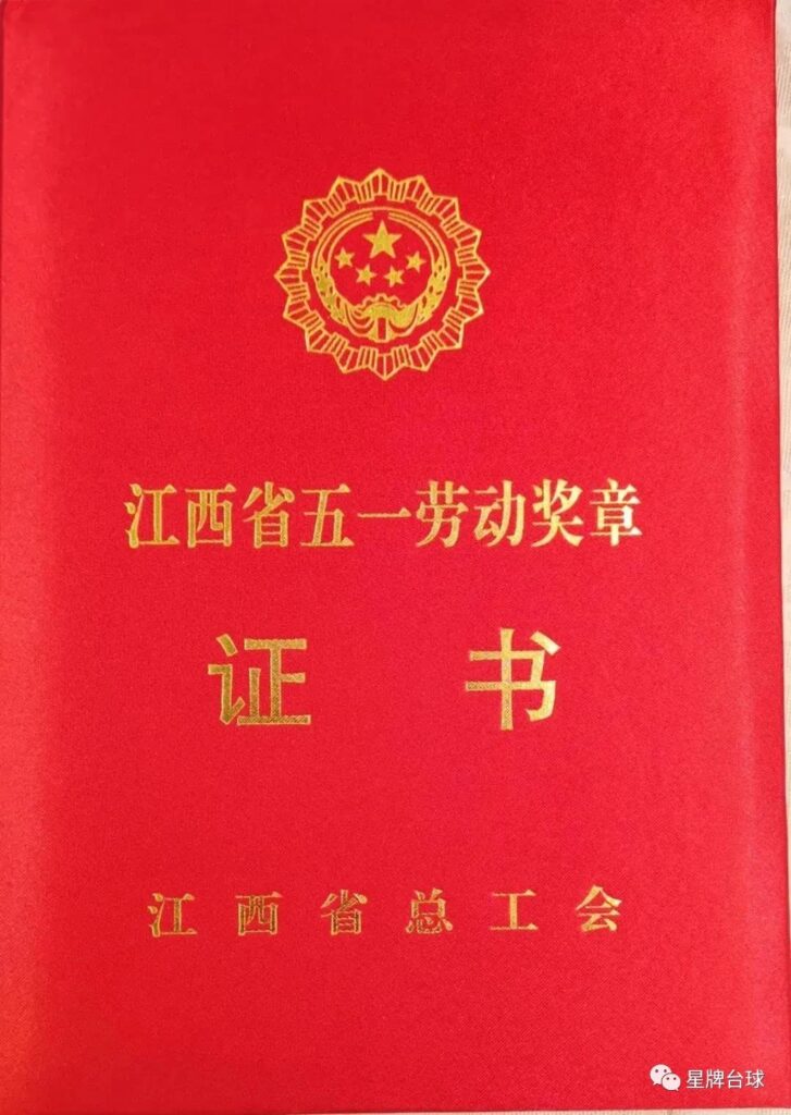 喜报！台球行业第一枚五一劳动奖章花落星牌！